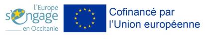 Logo du Fond Social Européen