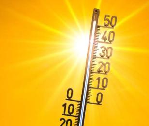 Actualité de la CCI du Tarn : Le département du Tarn est placé en vigilance orange canicule à partir du vendredi 18 août à partir de 12 heures.