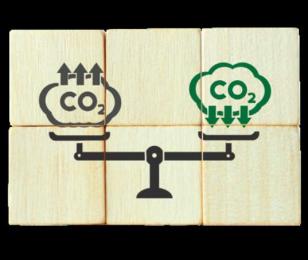 Actualité de la CCI du Tarn : Compensation carbone : l’appel aux entrepreneurs