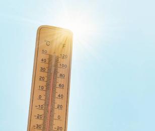 Actualité de la CCI du Tarn : Alerte fortes chaleurs - Canicule